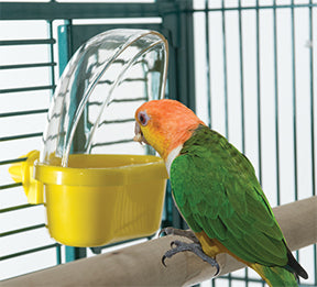 Käfigmontierter, abgedeckter Becher