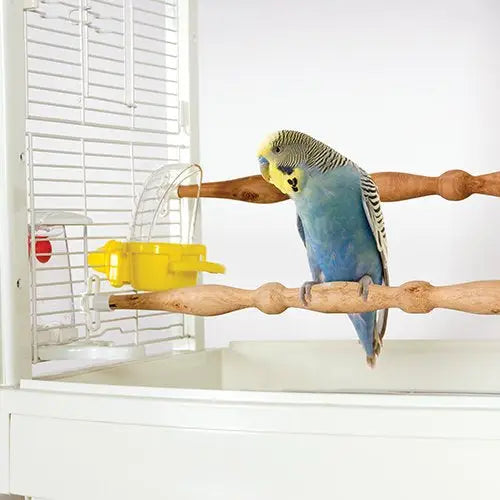 Käfigmontierter, abgedeckter Becher Käfigmontierter, abgedeckter Becher